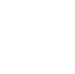 スピードスタークラブのロゴ