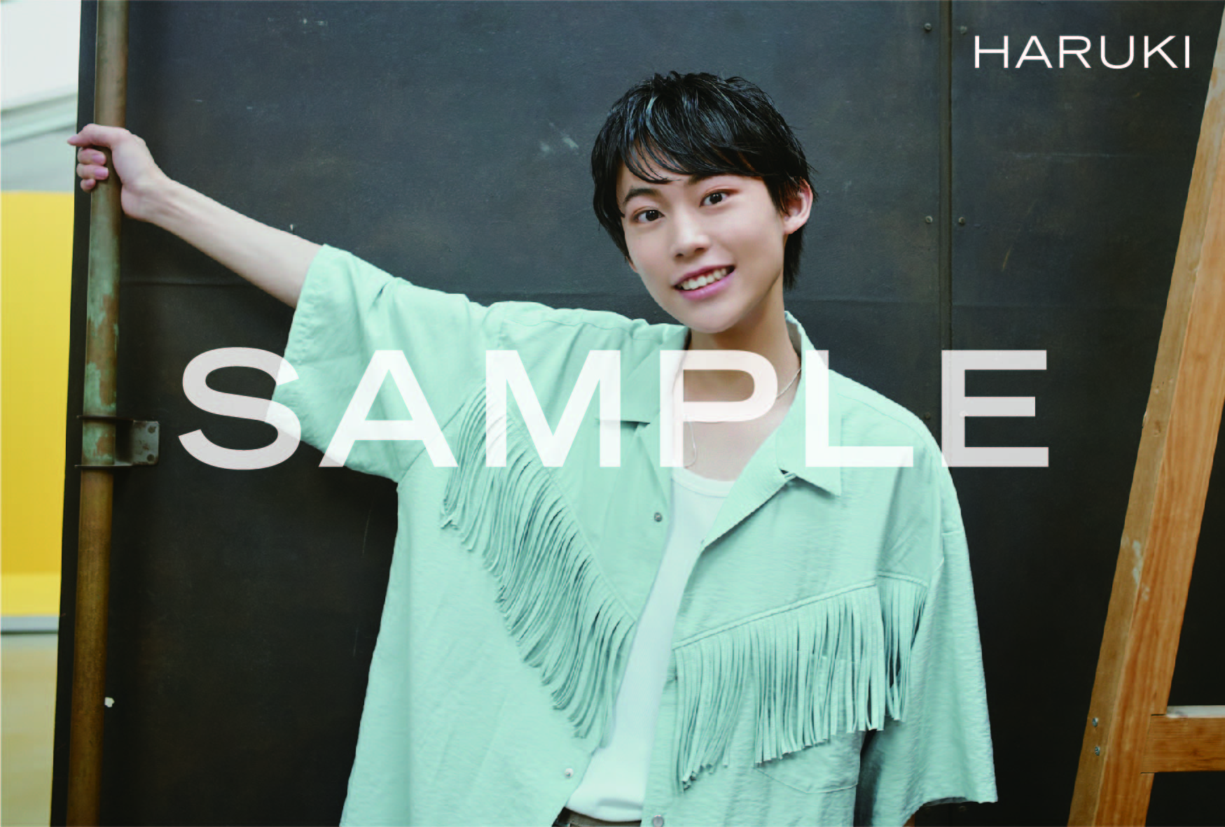 HARUKI/オリジナルソロポストカード特典付カート】SM:)LE | VICTOR ...