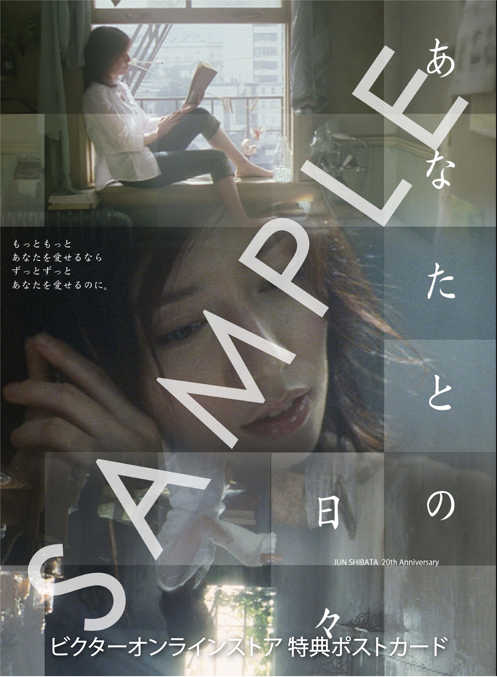 柴田淳 20th Anniversary Photo Book もたつき ポストカード付き