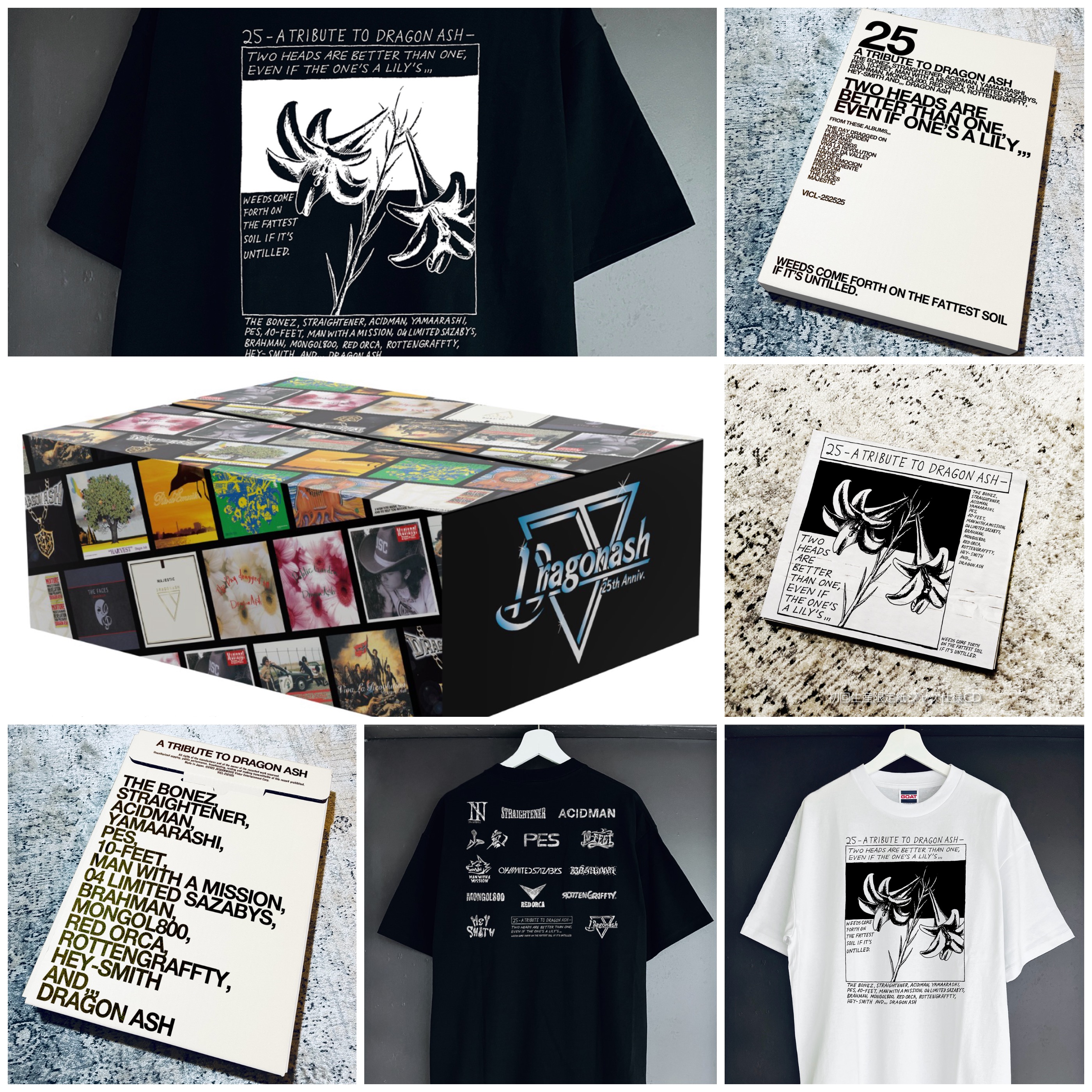 25 -A Tribute To Dragon Ash- 完全生産限定25th Anniversary BOX A